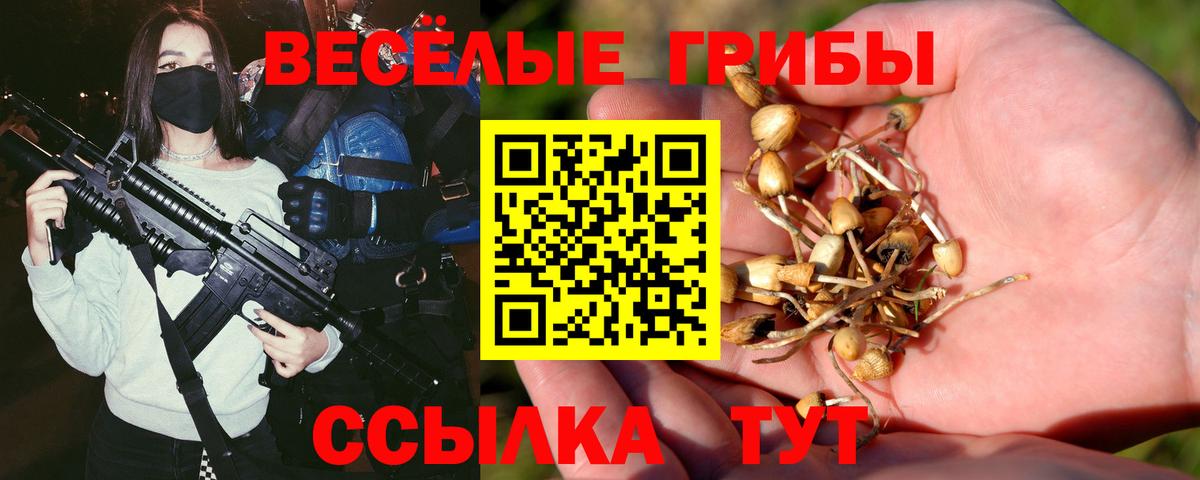где можно купить наркотик  Вход с VPN  Елабуга  Псилоцибиновые грибы мухоморы 